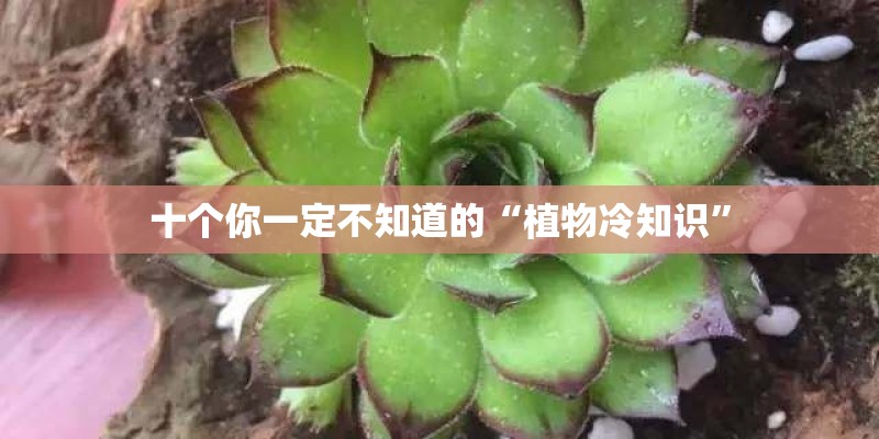 十个你一定不知道的“植物冷知识”