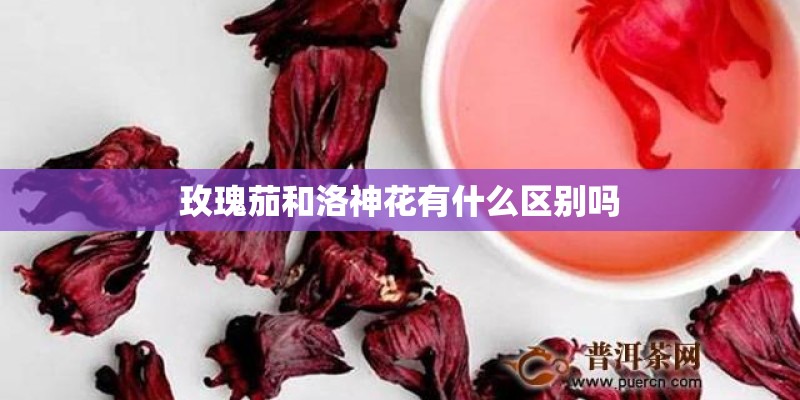 玫瑰茄和洛神花有什么区别吗