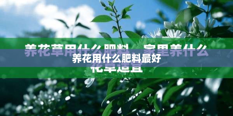 养花用什么肥料最好