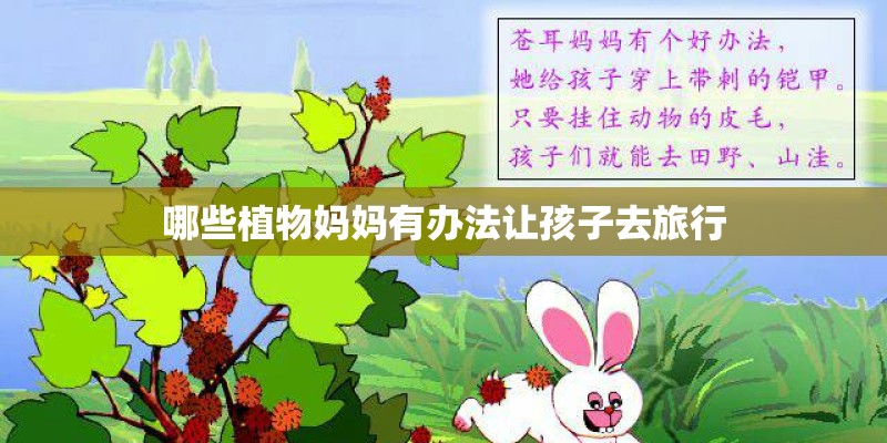 哪些植物妈妈有办法让孩子去旅行