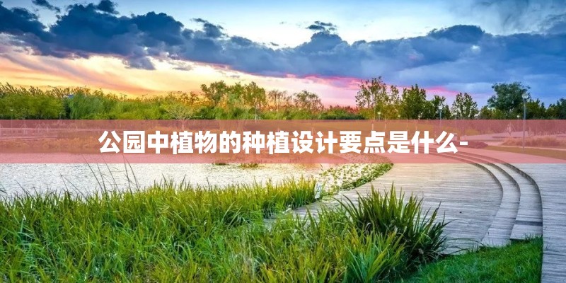 公园中植物的种植设计要点是什么-