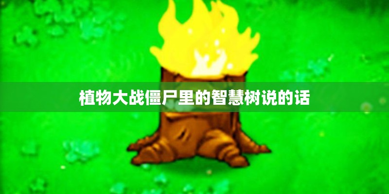植物大战僵尸里的智慧树说的话