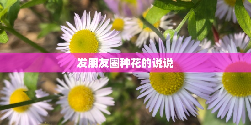 发朋友圈种花的说说