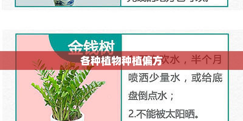 各种植物种植偏方
