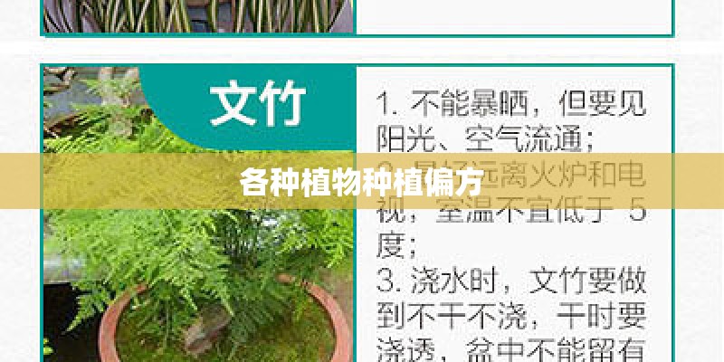 各种植物种植偏方