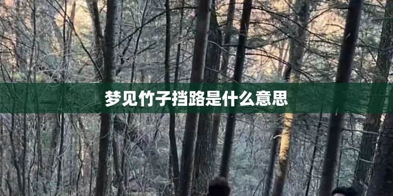 梦见竹子挡路是什么意思