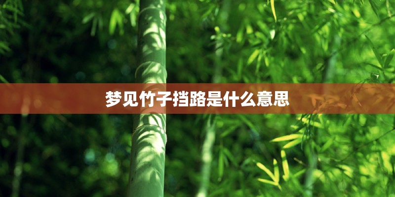 梦见竹子挡路是什么意思