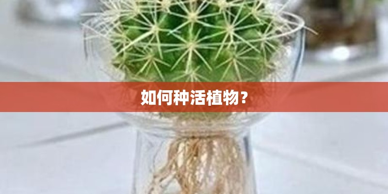 如何种活植物？