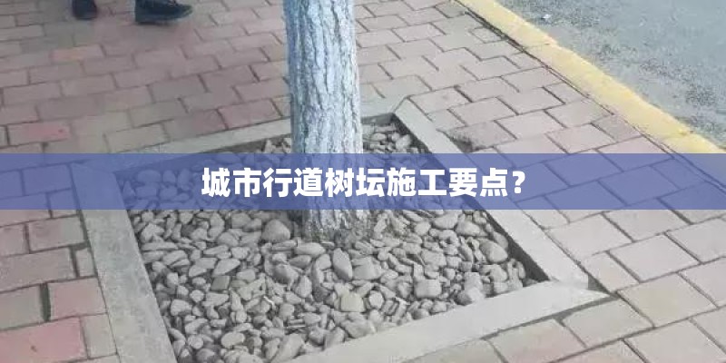 城市行道树坛施工要点？
