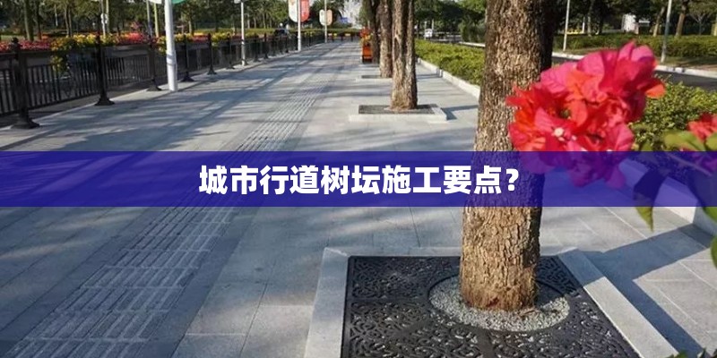 城市行道树坛施工要点？