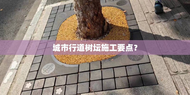 城市行道树坛施工要点？