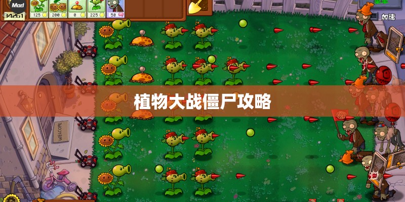 植物大战僵尸攻略