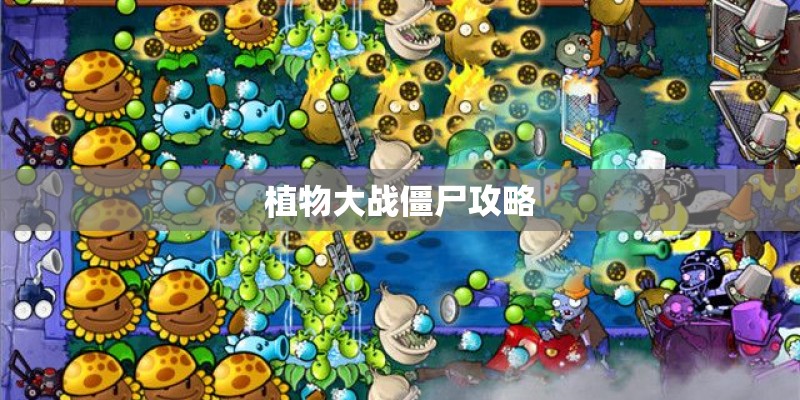 植物大战僵尸攻略