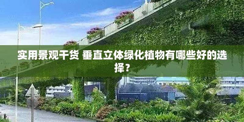 实用景观干货 垂直立体绿化植物有哪些好的选择？