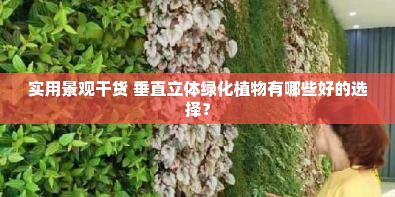 实用景观干货 垂直立体绿化植物有哪些好的选择？