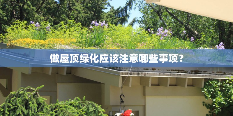 做屋顶绿化应该注意哪些事项？