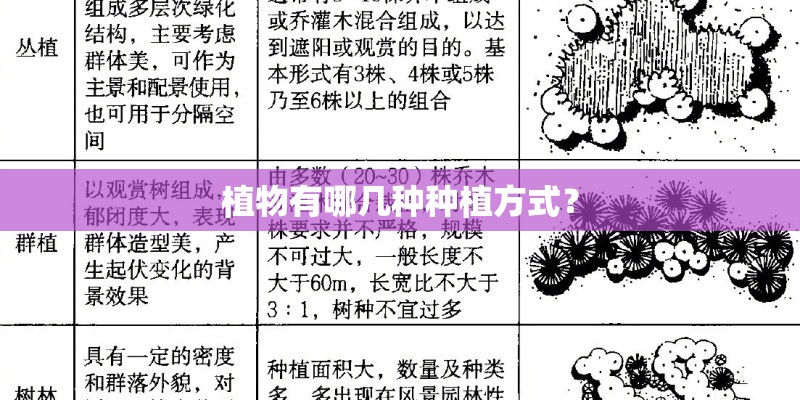 植物有哪几种种植方式？