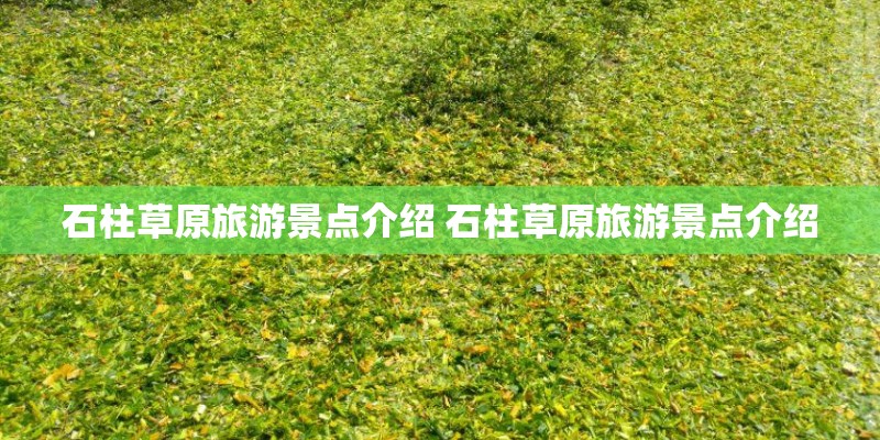 石柱草原旅游景点介绍 石柱草原旅游景点介绍