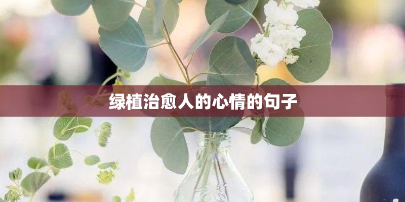 绿植治愈人的心情的句子 绿植治愈人的心情的句子