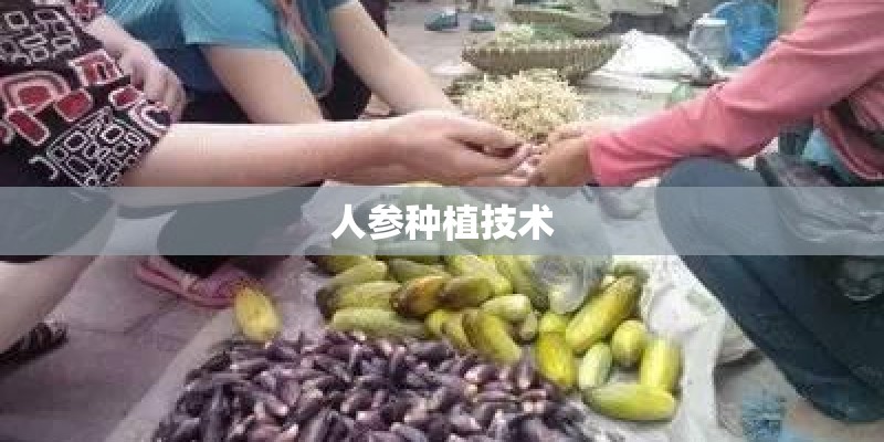 人参种植技术