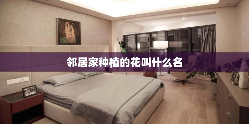 邻居家种植的花叫什么名