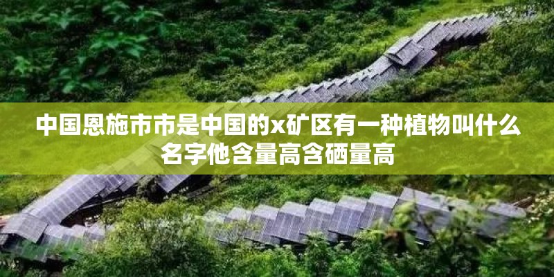 中国恩施市市是中国的x矿区有一种植物叫什么名字他含量高含硒量高 中国恩施市市是中国的x矿区有一种植物叫什么名字他含量高含硒量高