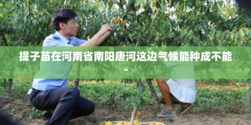 提子苗在河南省南阳唐河这边气候能种成不能-