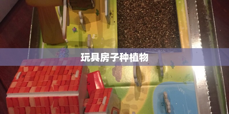 玩具房子种植物