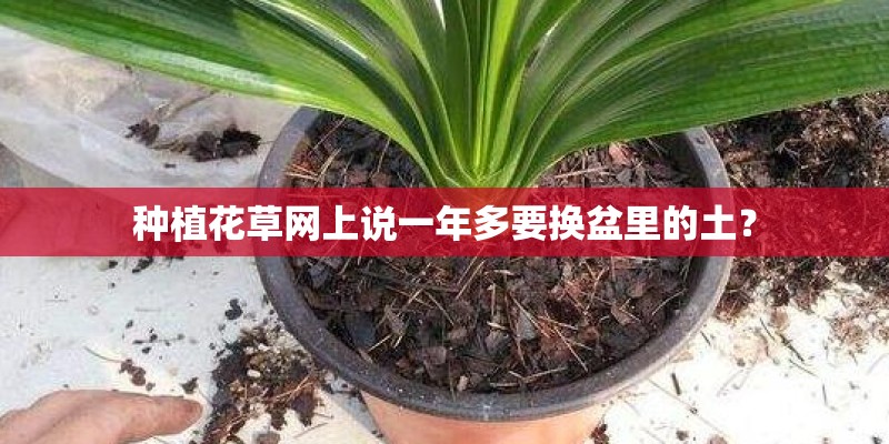 种植花草网上说一年多要换盆里的土？