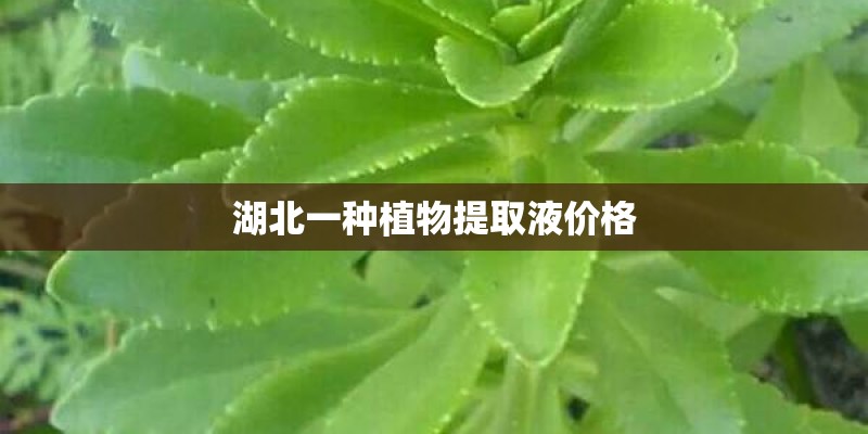 湖北一种植物提取液价格