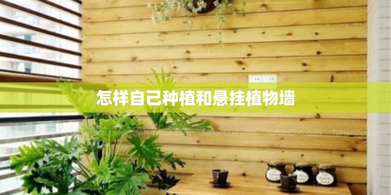 怎样自己种植和悬挂植物墙