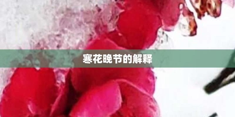 寒花晚节的解释