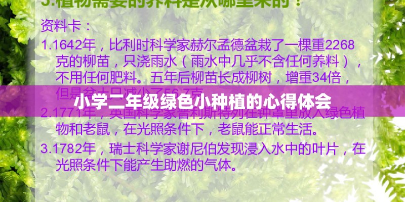 小学二年级绿色小种植的心得体会