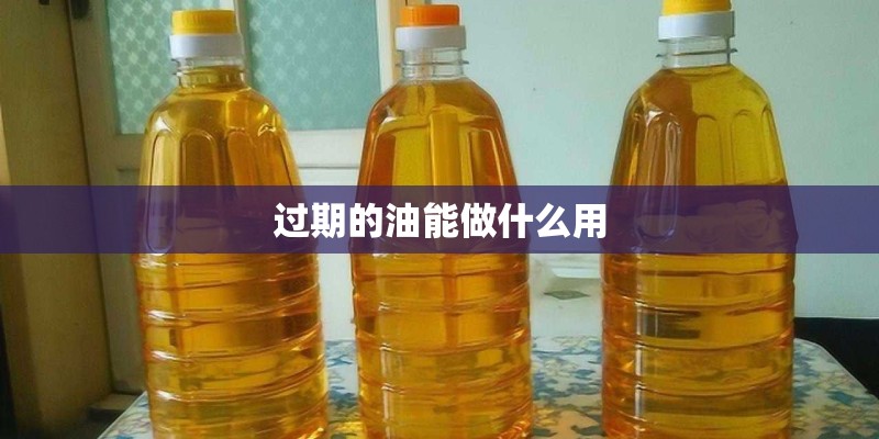 过期的油能做什么用