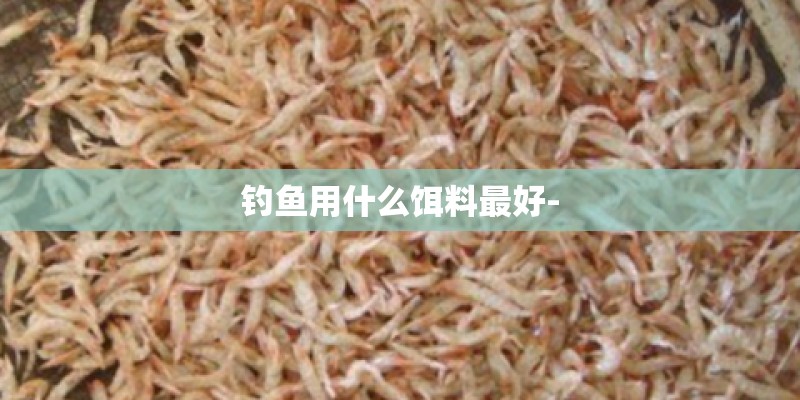 钓鱼用什么饵料最好-