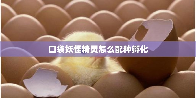 口袋妖怪精灵怎么配种孵化