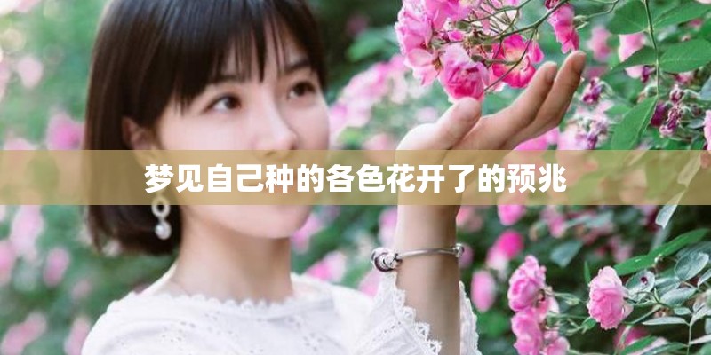 梦见自己种的各色花开了的预兆