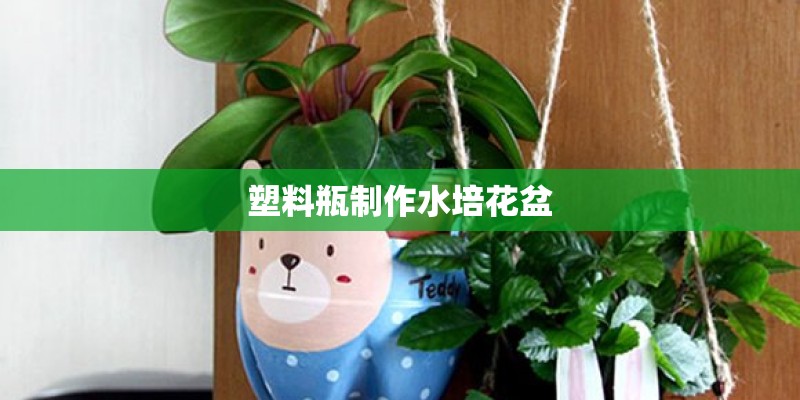 塑料瓶制作水培花盆