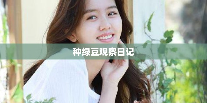 种绿豆观察日记
