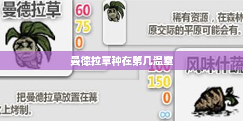 曼德拉草种在第几温室