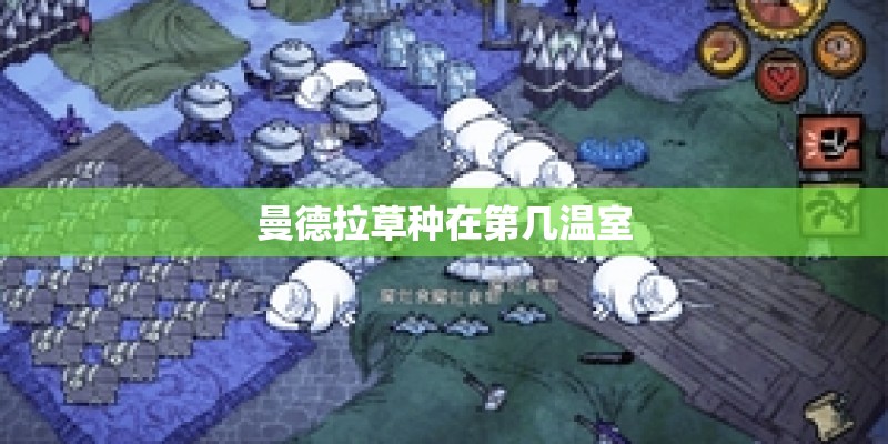 曼德拉草种在第几温室