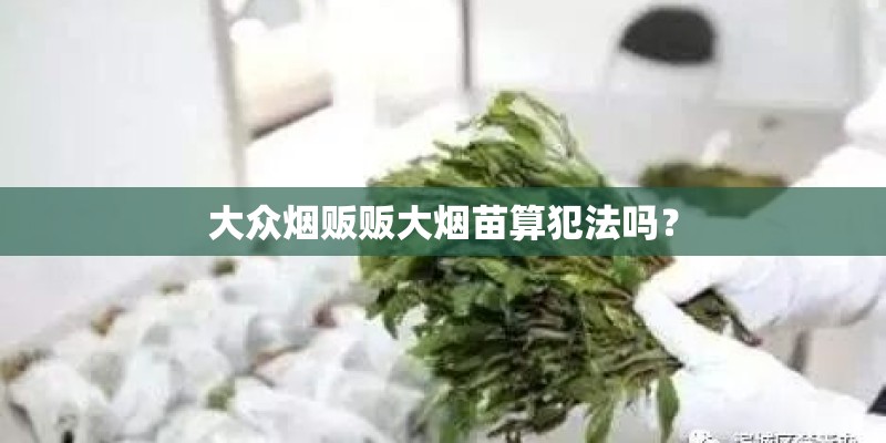 大众烟贩贩大烟苗算犯法吗？