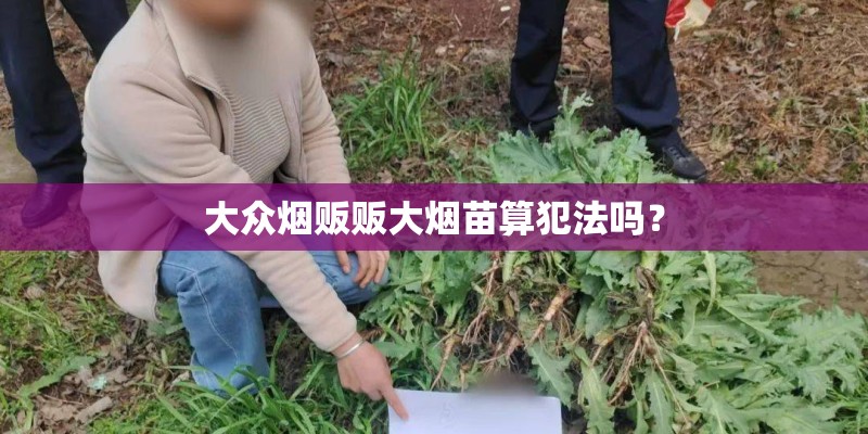 大众烟贩贩大烟苗算犯法吗? 大众烟贩贩大烟苗算犯法吗?