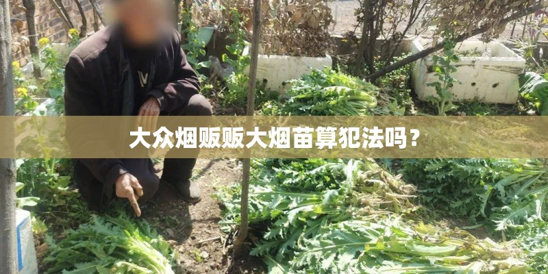 大众烟贩贩大烟苗算犯法吗? 大众烟贩贩大烟苗算犯法吗?