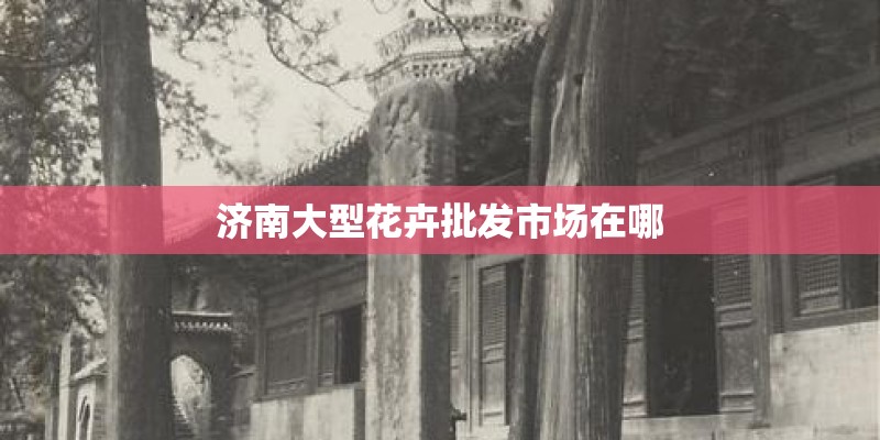 济南大型花卉批发市场在哪