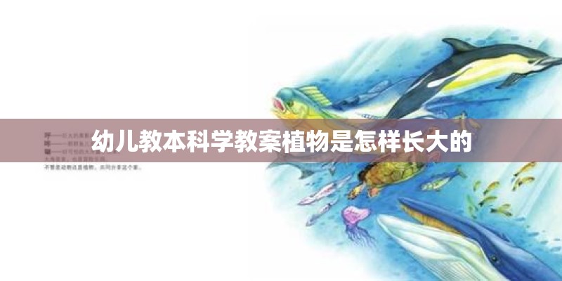 幼儿教本科学教案植物是怎样长大的