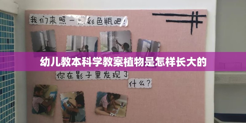 幼儿教本科学教案植物是怎样长大的 幼儿教本科学教案植物是怎样长大的