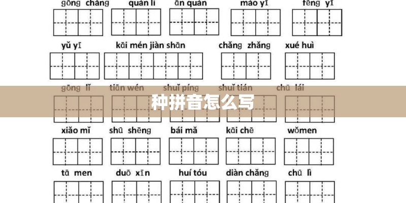 种拼音怎么写