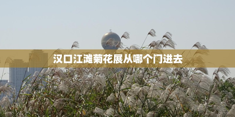 汉口江滩菊花展从哪个门进去