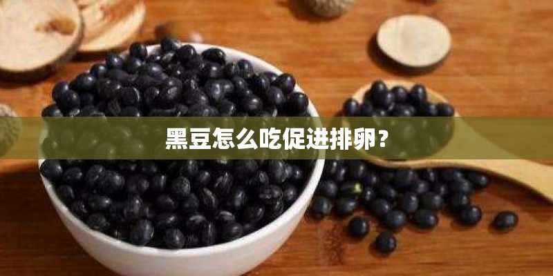 黑豆怎么吃促进排卵？